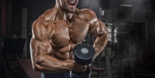 does creatine cause hair loss bodybuilding forum