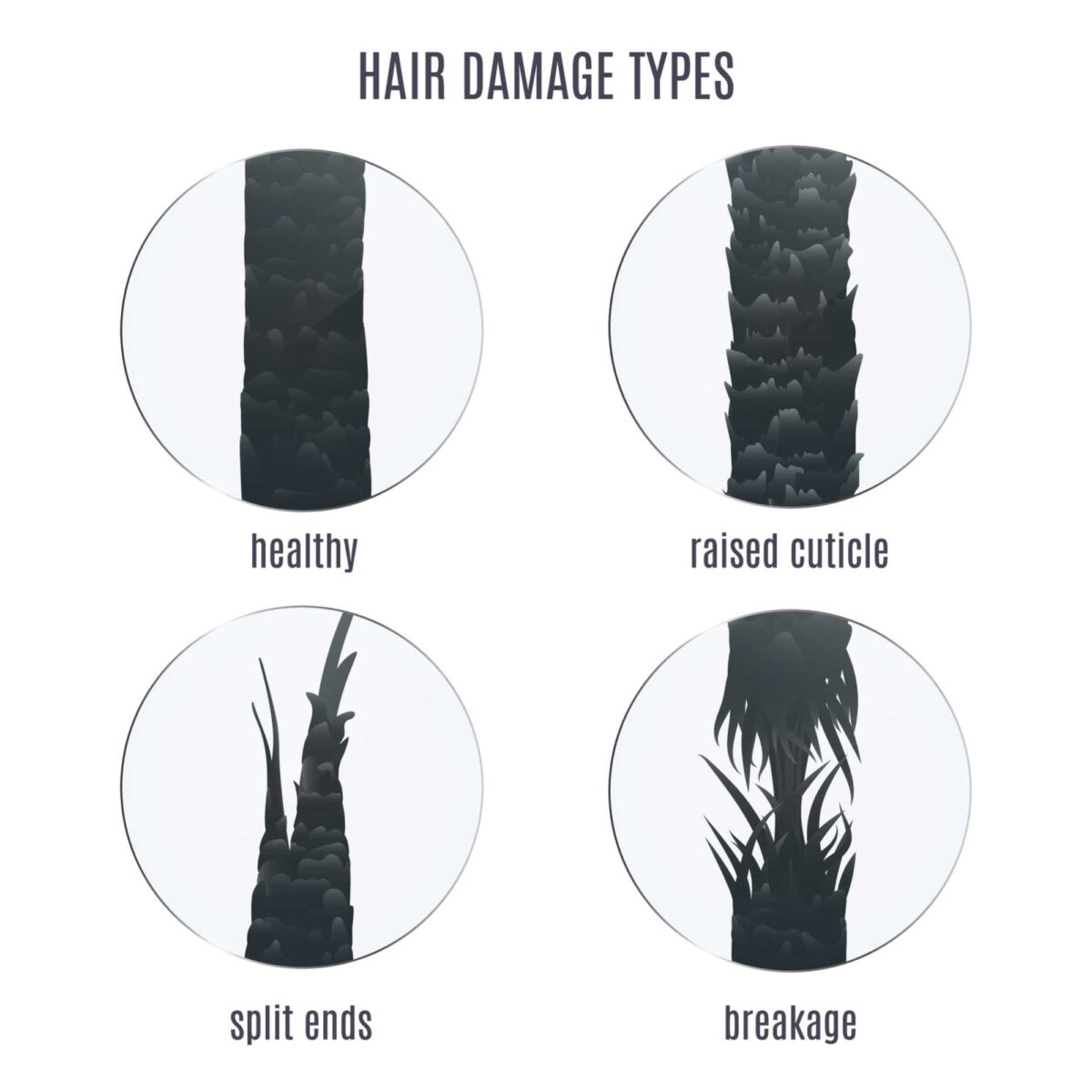 what is hair breakage