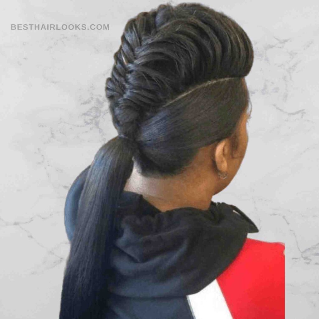 black braided ponytail hairstyles