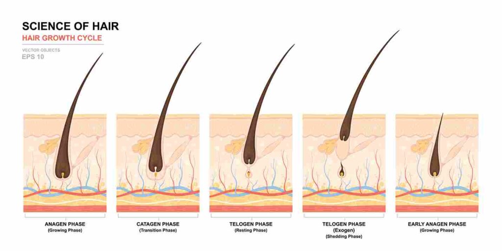 How to regrow thinning hair female