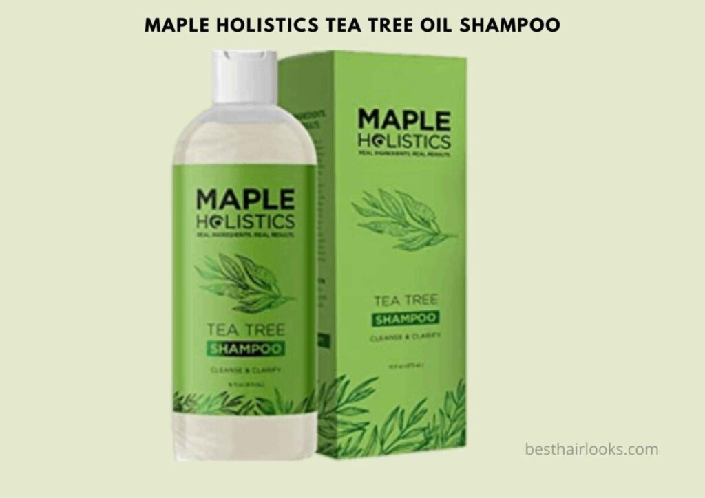 herbal shampoo for hair fall and dandruff