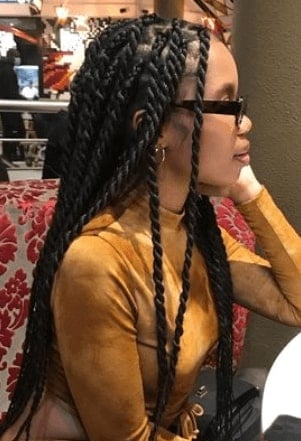 Twisted Braids Hairstyle