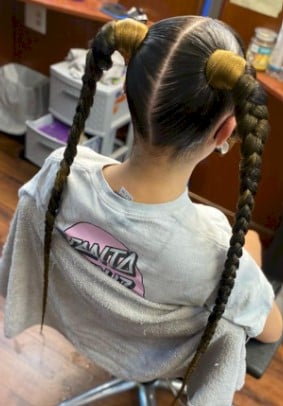 Two braid sleek pony hairstyles for back to school black girl